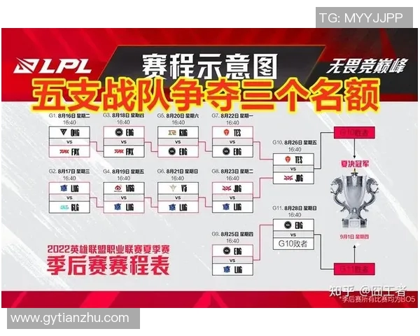 esports最新数据聚焦英雄联盟JDG战队力量探讨与团队合作的深度分析